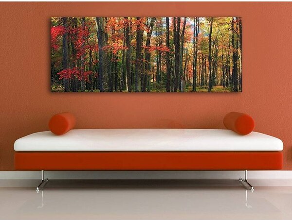 70x40 cm - Őszi fák vászonkép