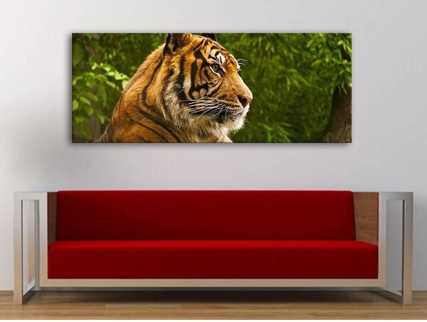 70x40 cm - Tigris vászonkép