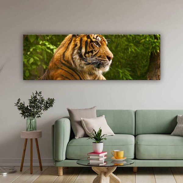 70x40 cm - Tigris vászonkép