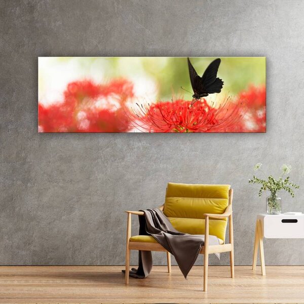 70x40 cm - Fekete pillangó piros virág vászonkép