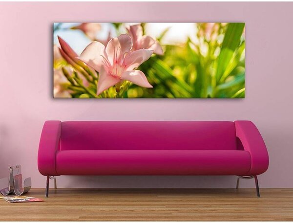 70x40 cm - Virágzás vászonkép
