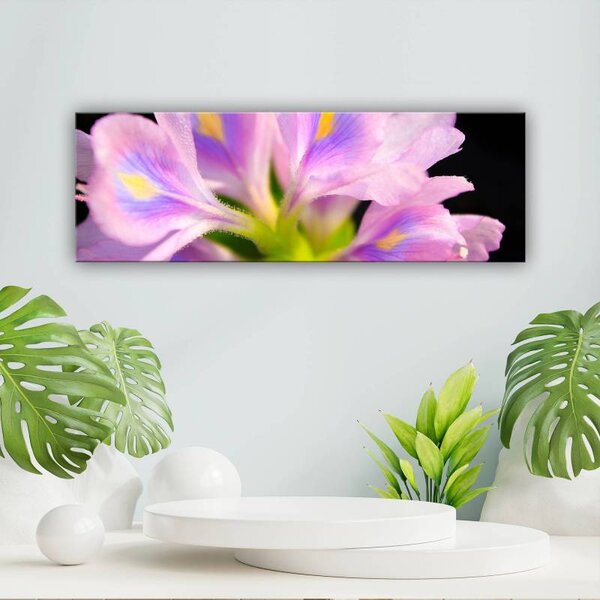 70x40 cm - Színes szírmok vászonkép