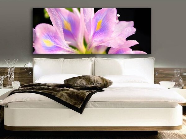 70x40 cm - Színes szírmok vászonkép