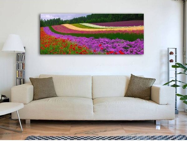 70x40 cm - Színes virágok vászonkép
