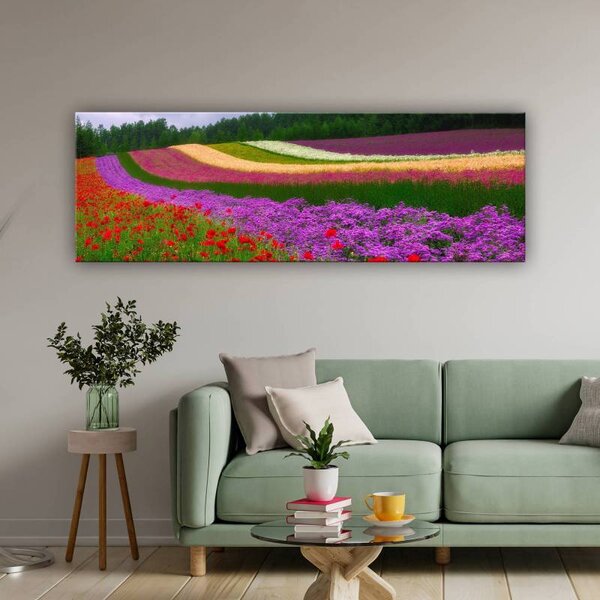 70x40 cm - Színes virágok vászonkép