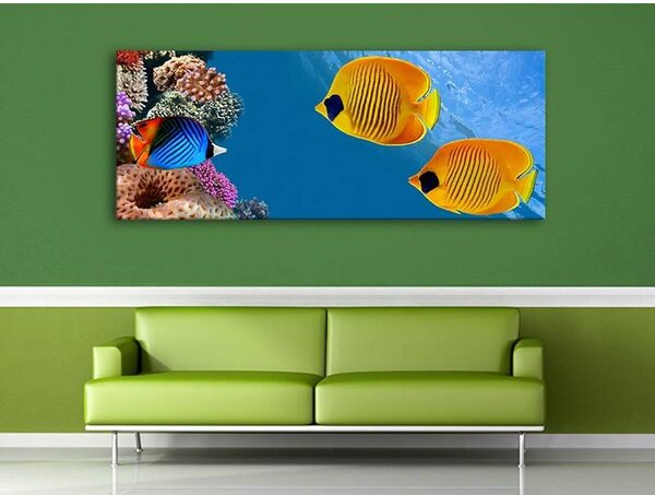 70x40 cm - Vízalatt tengeri díszhalak vászonkép