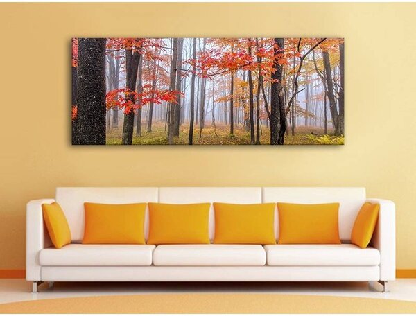 70x40 cm - Színes őszi fák vászonkép