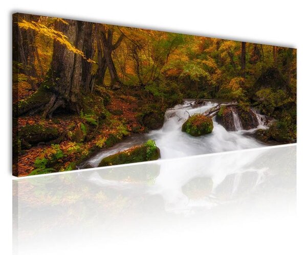 70x40 cm - Hegyi patak a fák között vászonkép