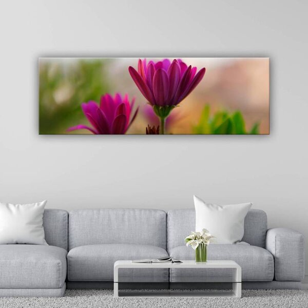 70x40 cm - A természet lila színei vászonkép