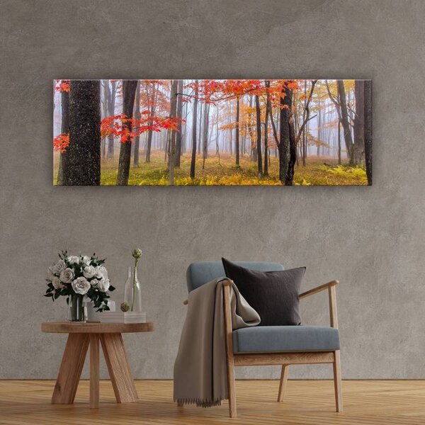 70x40 cm - Színes őszi fák vászonkép