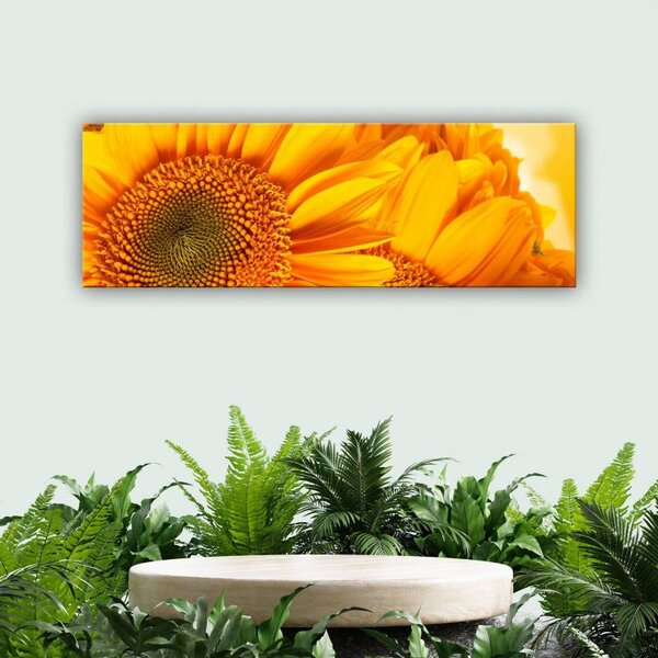 70x40 cm - Sárga Napraforgó Szirmok vászonkép
