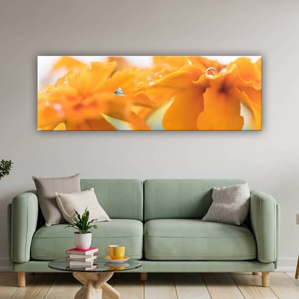70x40 cm - Vízcseppek és virágszirom vászonkép