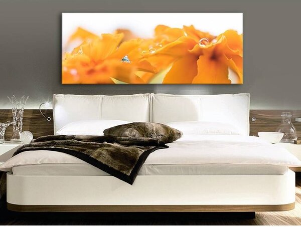 70x40 cm - Vízcseppek és virágszirom vászonkép