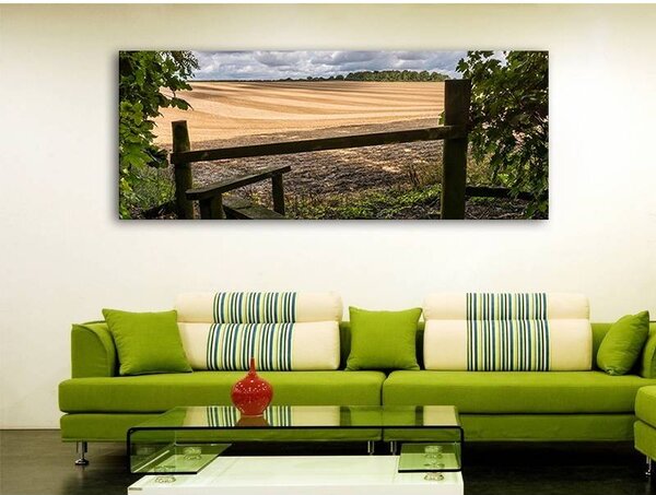 70x40 cm - Vonalak a természetben vászonkép