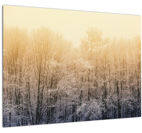 Fagyos erdő képe (70x50 cm)