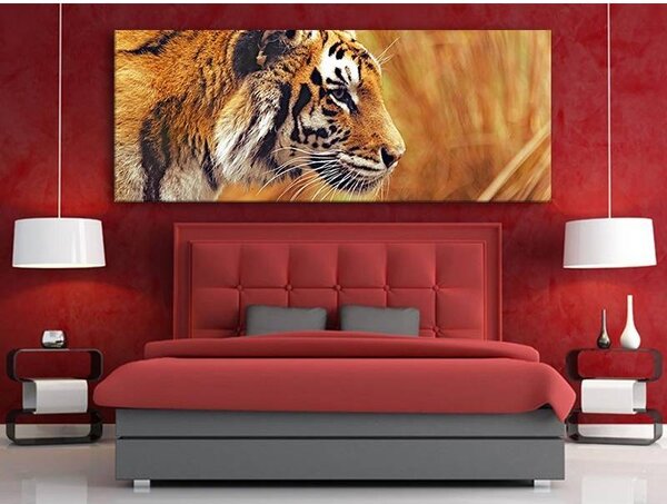 70x40 cm - Tigris tekintete vászonkép