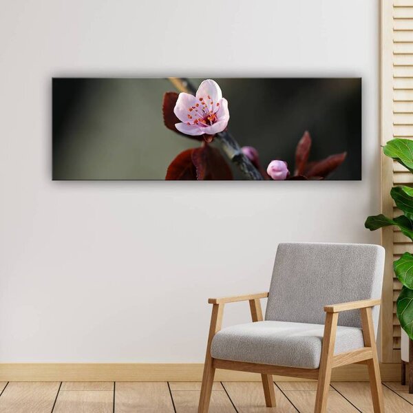 70x40 cm - Virágzás vászonkép