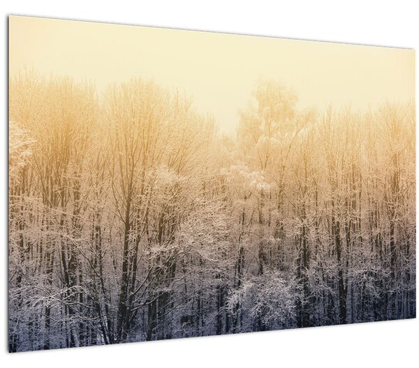 Fagyos erdő képe (90x60 cm)