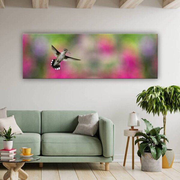 70x40 cm - Kolibri vászonkép