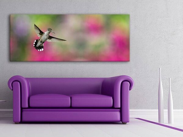 70x40 cm - Kolibri vászonkép