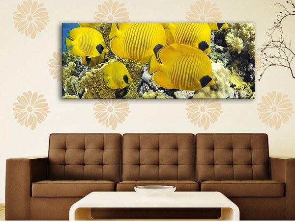 70x40 cm - Sárga tengeri halak vászonkép