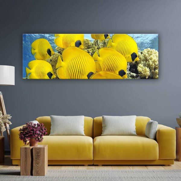 70x40 cm - Sárga tengeri halak vászonkép