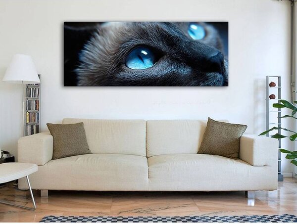 70x40 cm - Kék Macskaszemek vászonkép