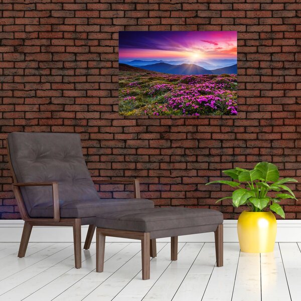 Kép - Hegyi virágzó táj (70x50 cm)