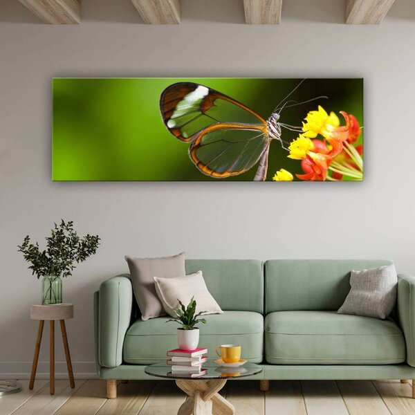 70x40 cm - Átlátszó pillangó szárnyak vászonkép