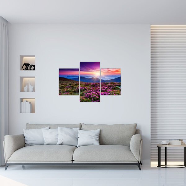 Kép - Hegyi virágzó táj (90x60 cm)