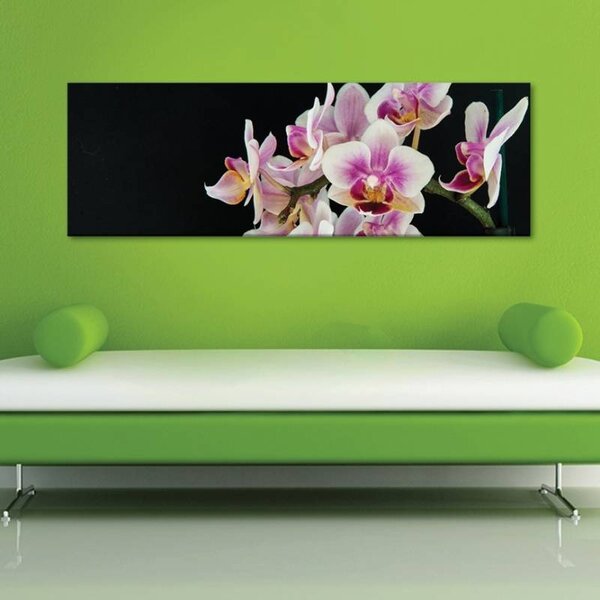 70x40 cm - Kecses orchideák vászonkép