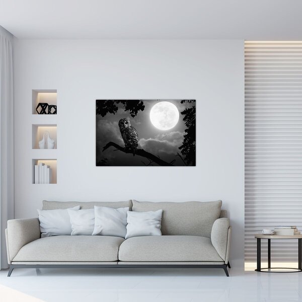 Kép - Éjjeli bagoly, fekete-fehér (90x60 cm)