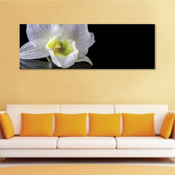 70x40 cm - Fehér orchidea vászonkép