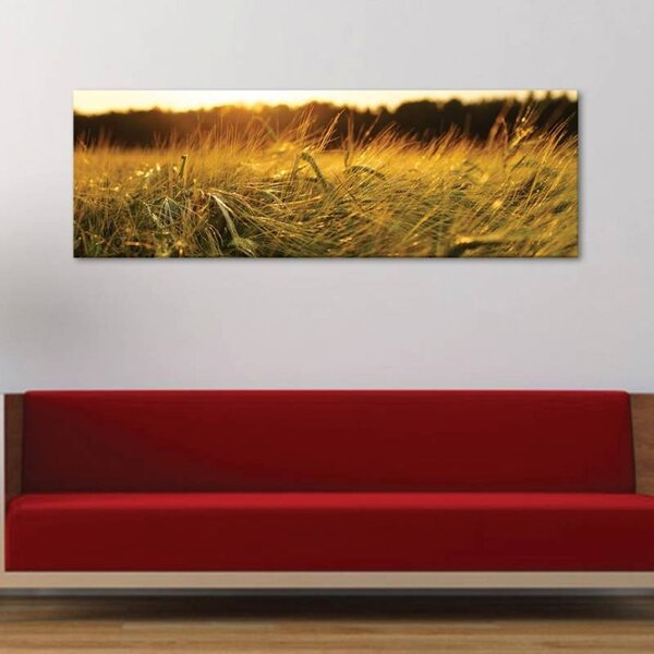 70x40 cm - Búzamező vászonkép