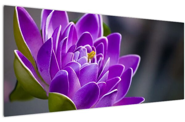 A virág képe (120x50 cm)