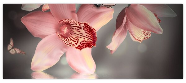 Kép - Virágok és pillangó (120x50 cm)