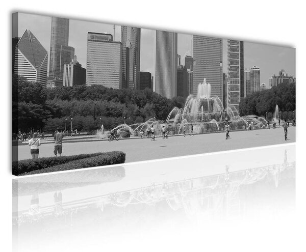 70x40 cm - Grant park vászonkép