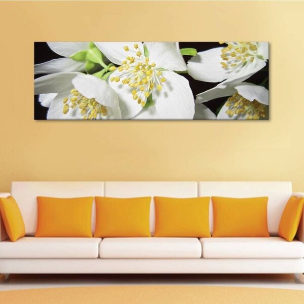 70x40 cm - Philadelphus jezsámen virágzás vászonkép
