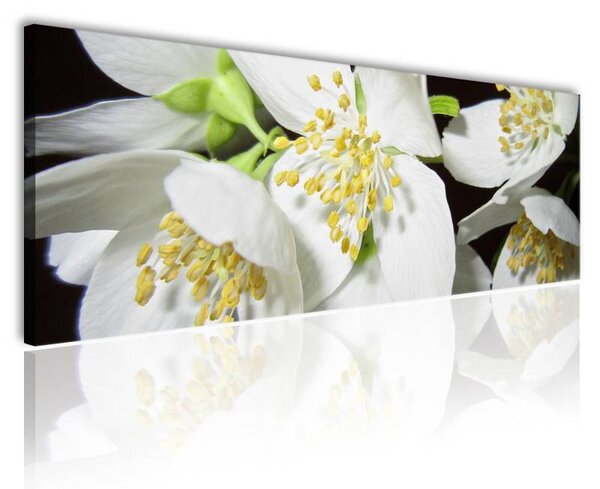 70x40 cm - Philadelphus jezsámen virágzás vászonkép
