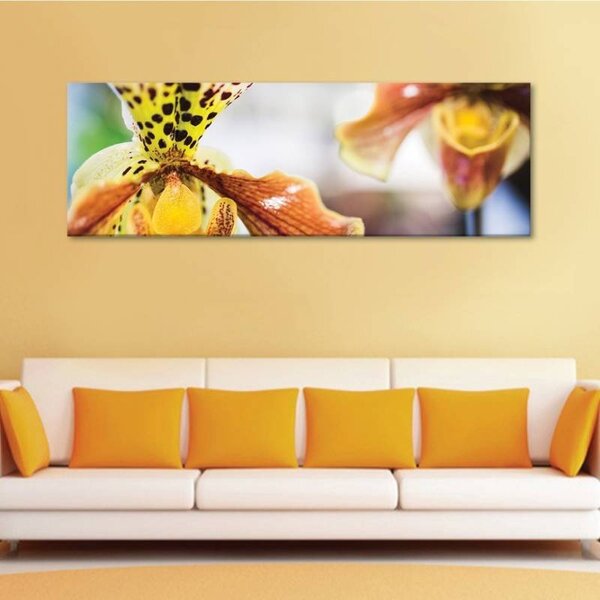 70x40 cm - Foltos orchidea vászonkép