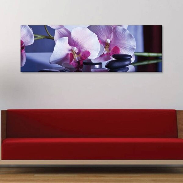 70x40 cm - Orchidea spa vászonkép