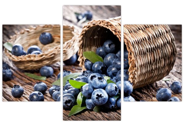 Kép - Lédús áfonya (90x60 cm)