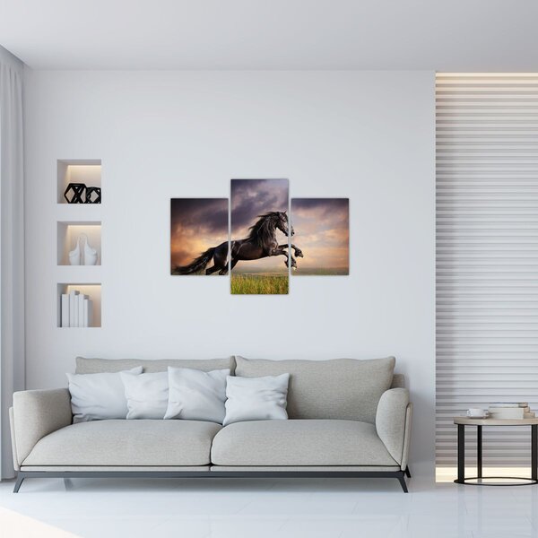 Kép - Lovak (90x60 cm)
