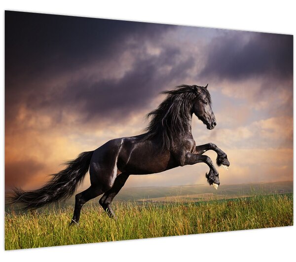 Kép - Lovak (90x60 cm)