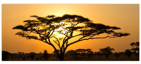 Kép - afrikai szavanna (120x50 cm)