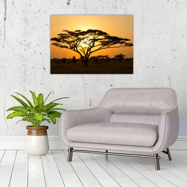Kép - afrikai szavanna (70x50 cm)