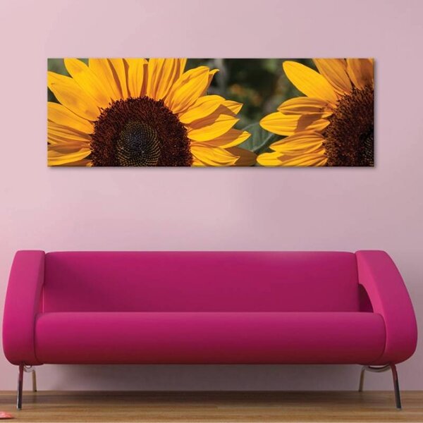 70x40 cm - Napraforgó termés vászonkép