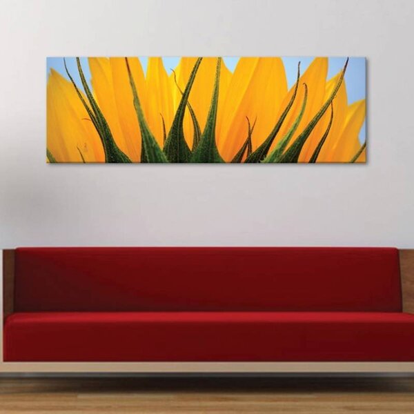70x40 cm - Napraforgó szelet vászonkép