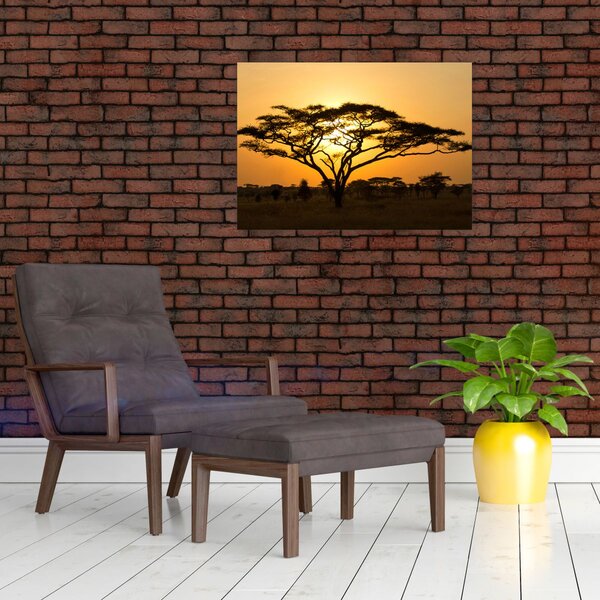Kép - afrikai szavanna (70x50 cm)
