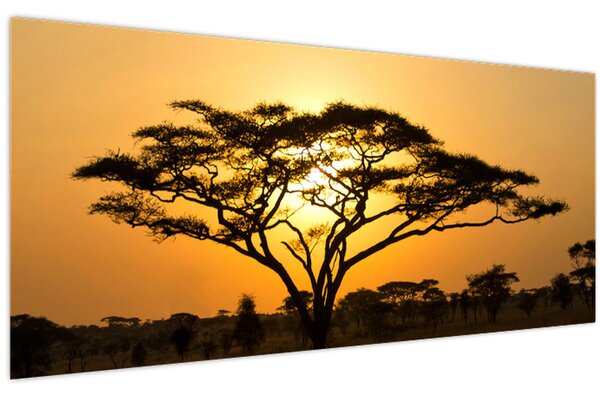 Kép - afrikai szavanna (120x50 cm)